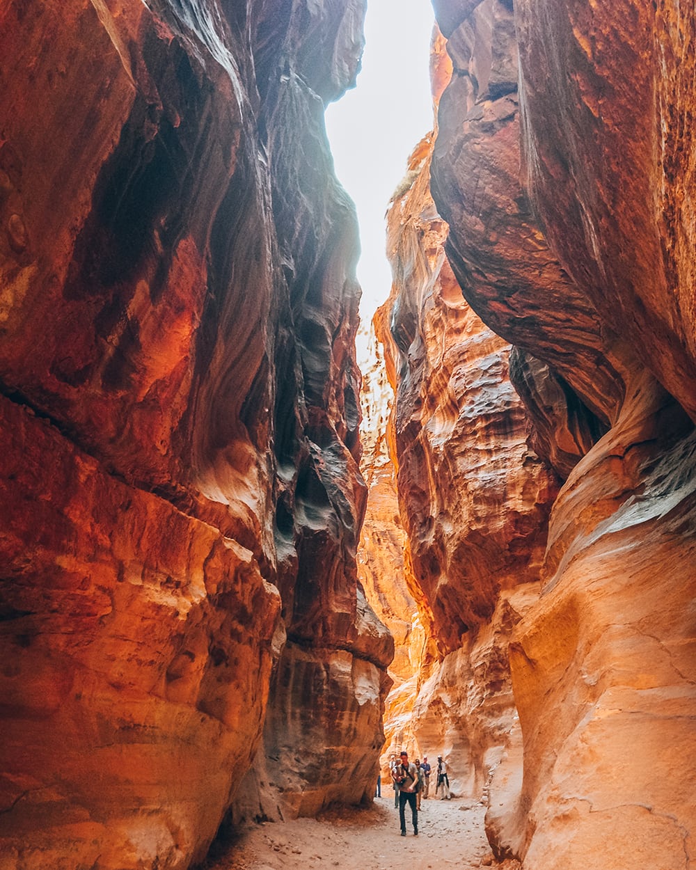the canyons of petra jordan