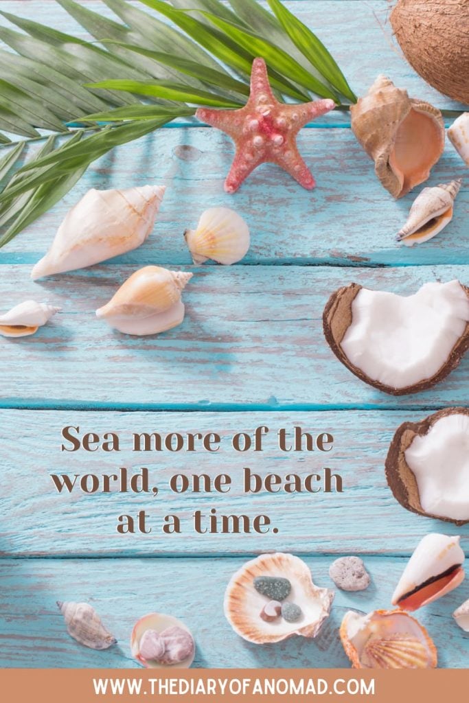 An Inspiring Beach Quote Surrounded By Coconuts and Starfishes