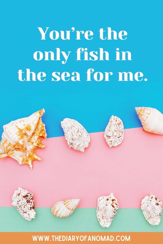 200+ Perfect Beach Quotes & Beach Captions for Instagram