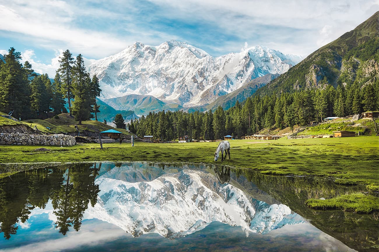 The Fairy Meadows in Pakistan