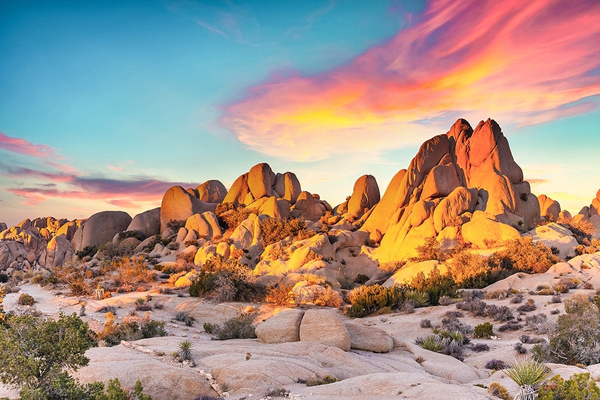 Joshua Tree National Park in California, A Winter Vacation in USA Warm