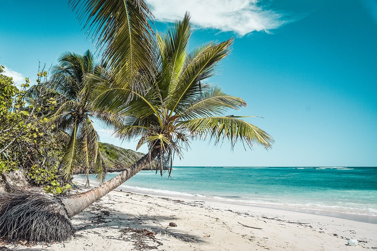 The Island of Culebra in Puerto Rico