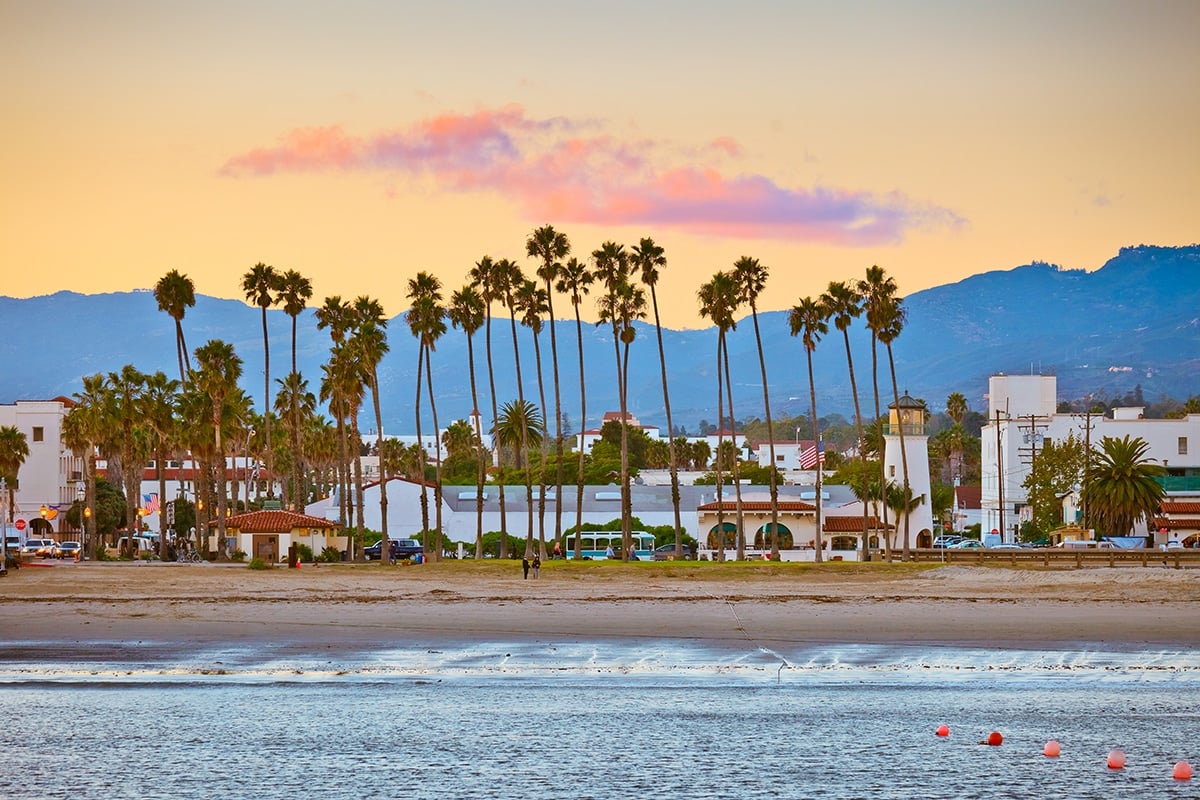 Palm Trees in Santa Barbara, California