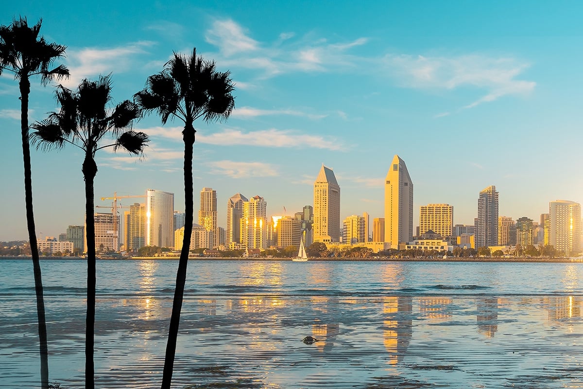Palm Trees and Buildings By the River in San Diego, California