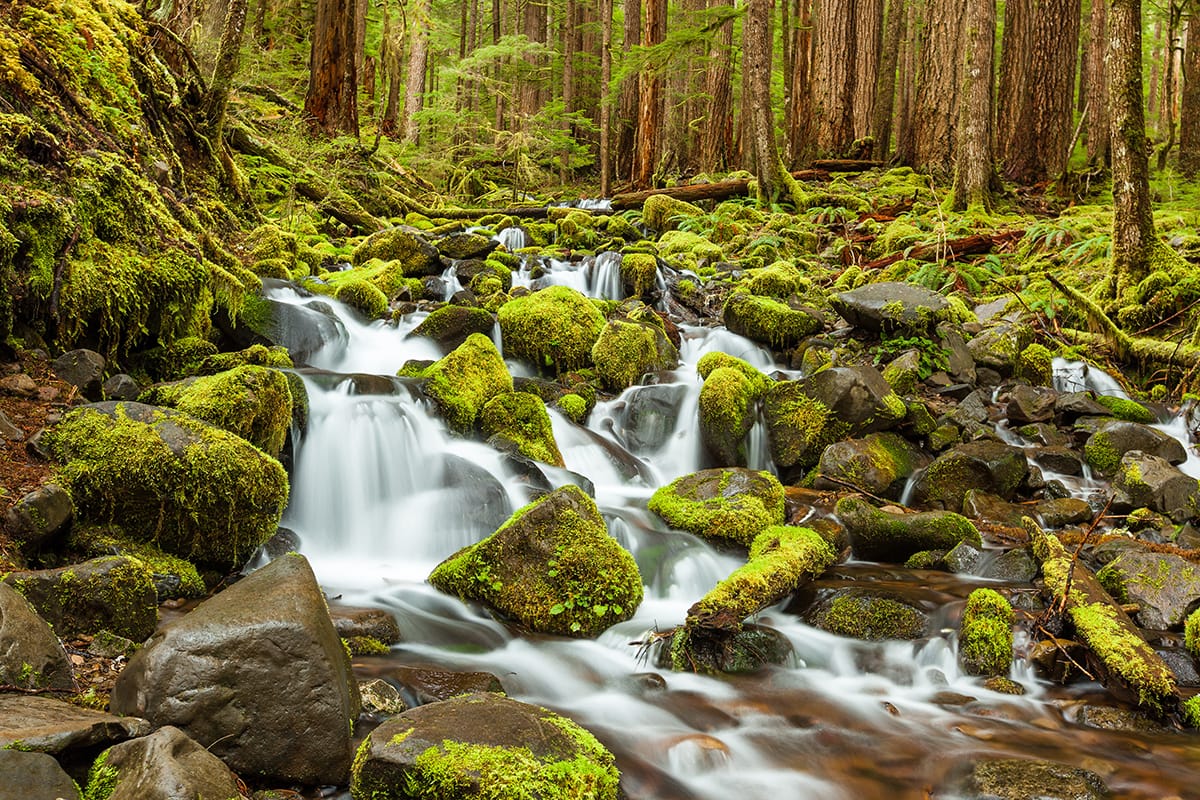 Olympic National Park in Washington