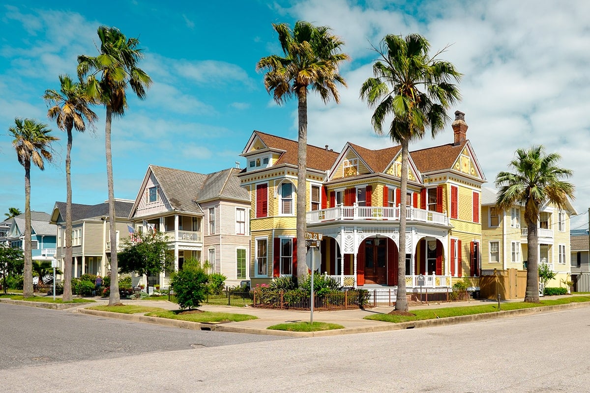 Palm Trees and Buildings in Galveston, Texas