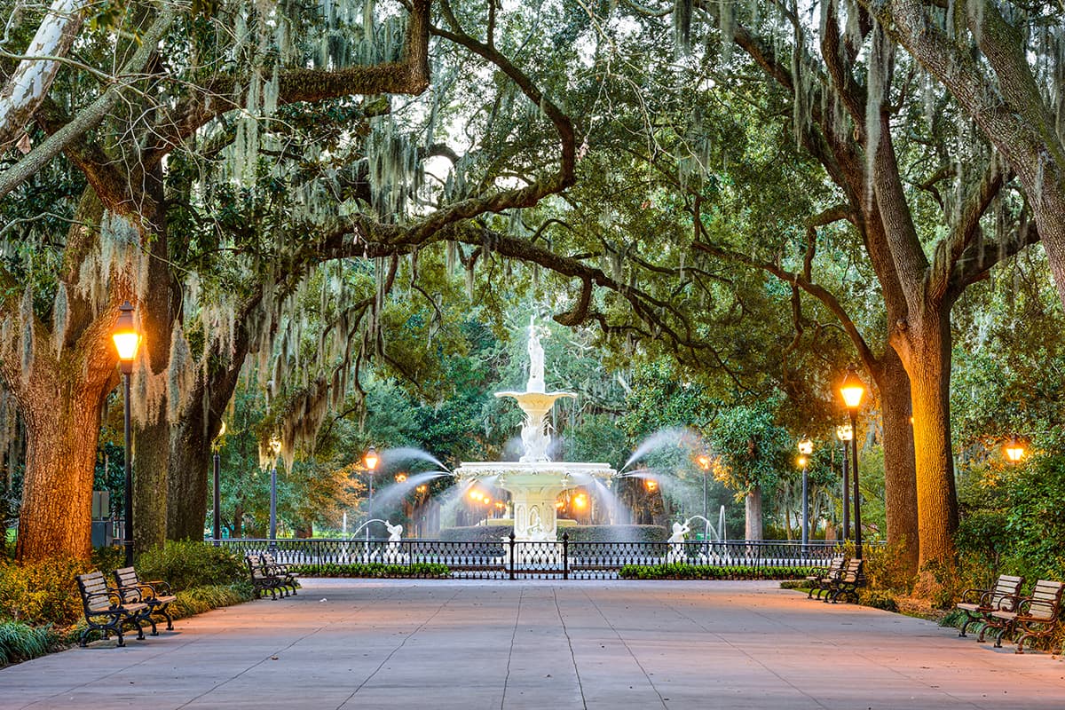 A Fountain and Trees in Savannah, Georgia