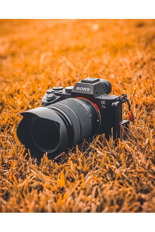 The Best Lenses for Sony a7 Series Cameras