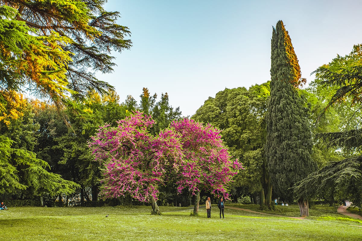 Villa Borghese Park in Rome